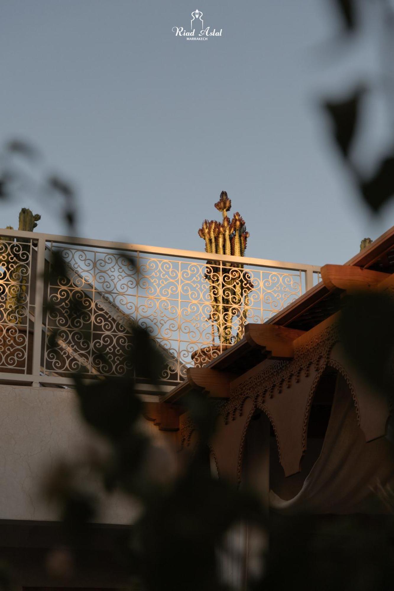 Riad Aslal Марракеш Экстерьер фото